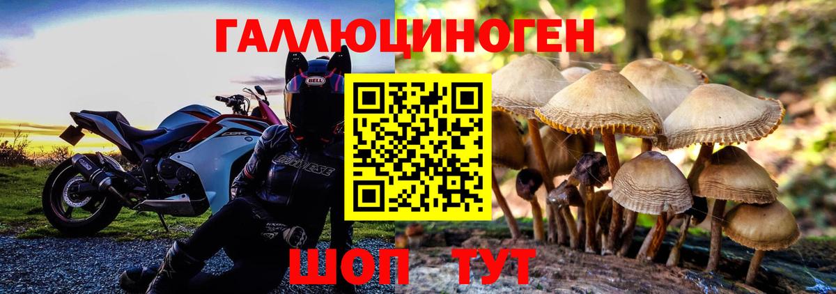 Галлюциногенные грибы прущие грибы Истра