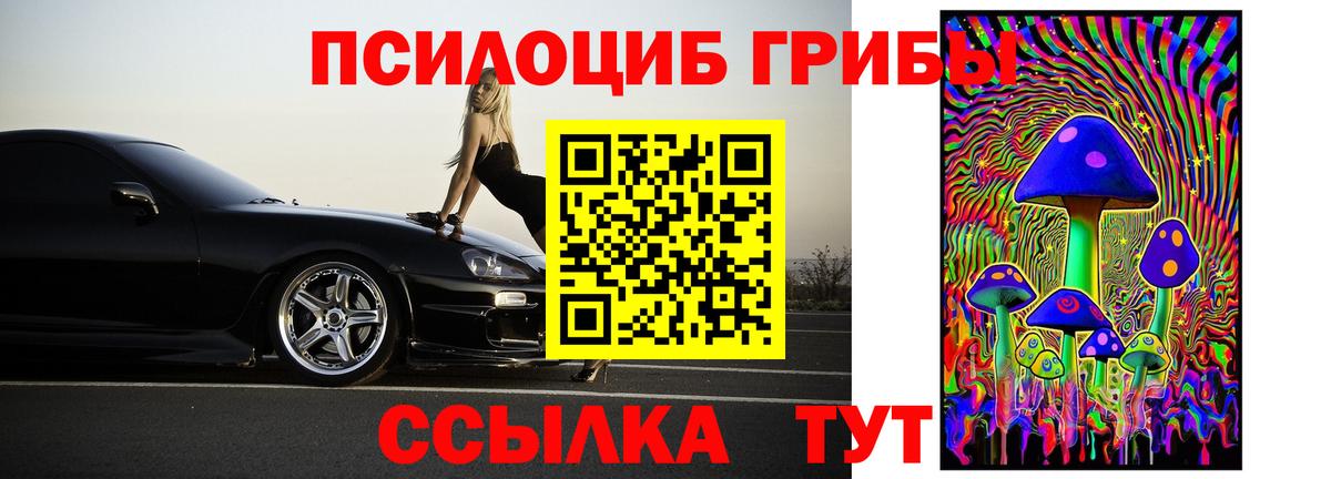 Псилоцибиновые грибы мицелий  Псилоцибиновые грибы GOLDEN TEACHER  Вход с VPN  Истра 