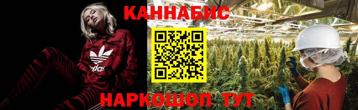 Бошки Шишки White Widow  Марихуана гибрид  Бошки марихуана индика  Вход с VPN  Истра 